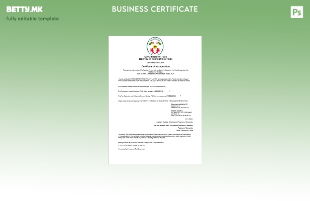 модерен стил Того сертификат за регистрација на бизнис Шаблон за Word и PDF шабл